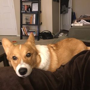 Meet your Posher, Ben